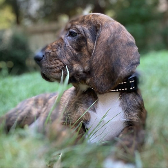 Meet your Posher, Alex-andra - Picture 10 of 12